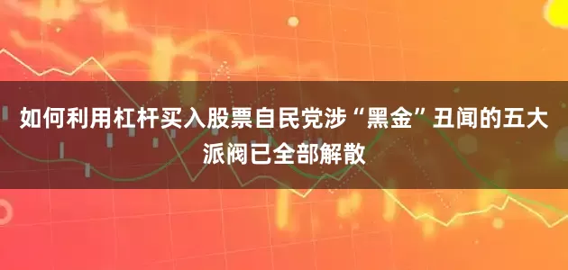 如何利用杠杆买入股票自民党涉“黑金”丑闻的五大派阀已全部解散