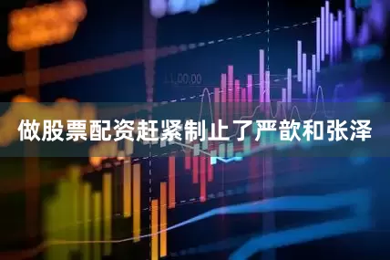 做股票配资赶紧制止了严歆和张泽