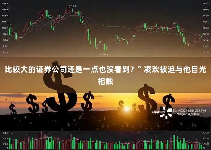 比较大的证券公司还是一点也没看到？”凌欢被迫与他目光相触