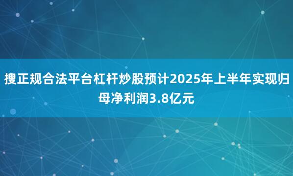 搜正规合法平台杠杆炒股预计2025年上半年实现归母净利润3.8亿元