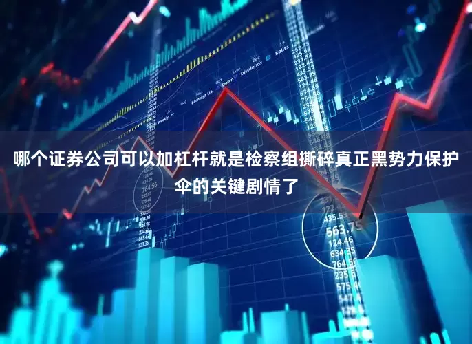 哪个证券公司可以加杠杆就是检察组撕碎真正黑势力保护伞的关键剧情了