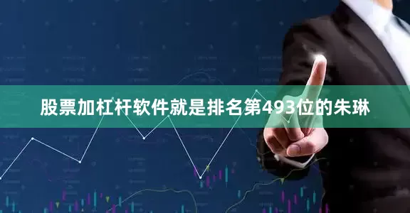 股票加杠杆软件就是排名第493位的朱琳