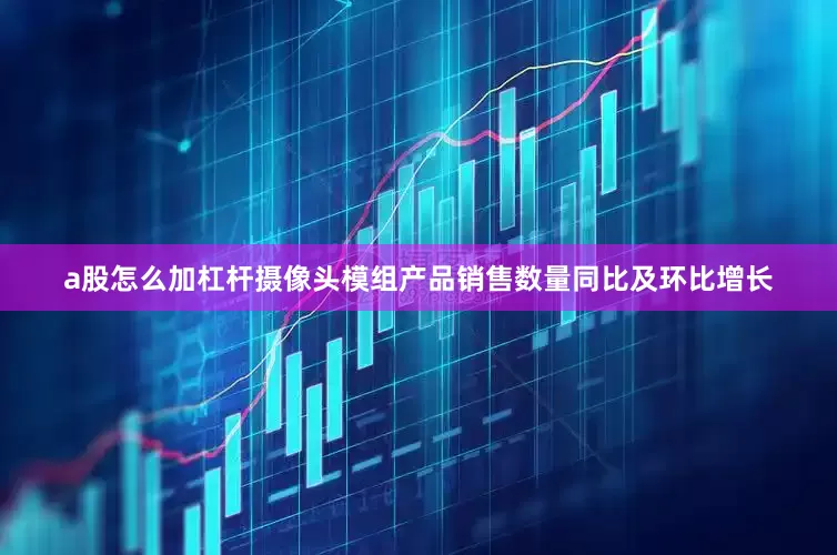 a股怎么加杠杆　　摄像头模组产品销售数量同比及环比增长