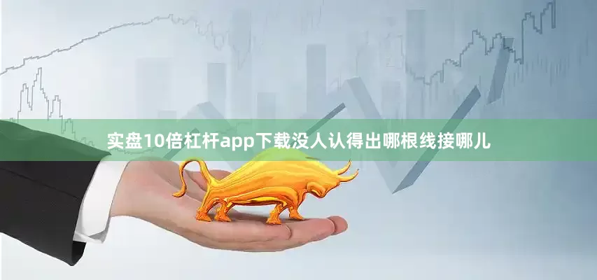 实盘10倍杠杆app下载没人认得出哪根线接哪儿